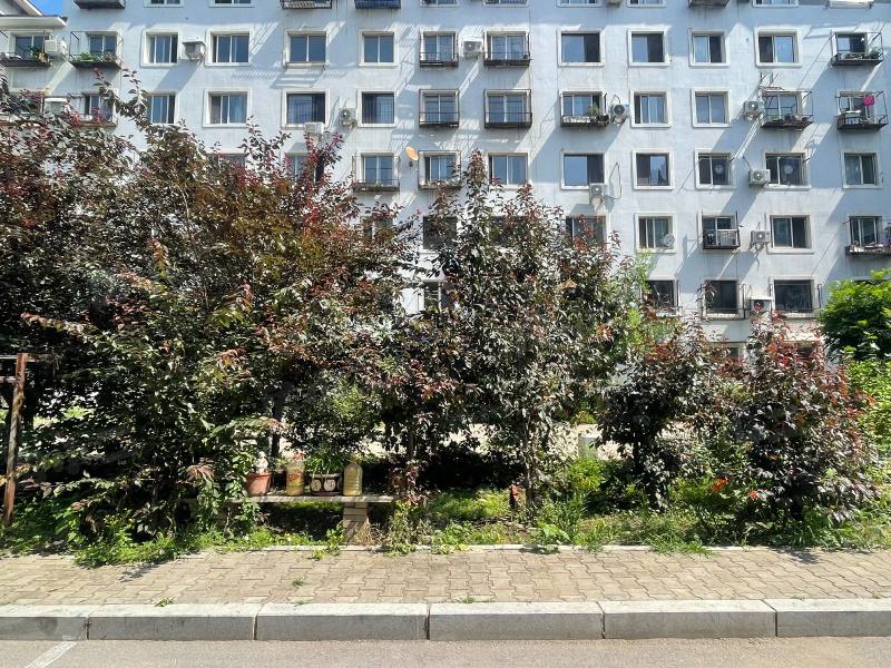 东塔安居小区园区图片