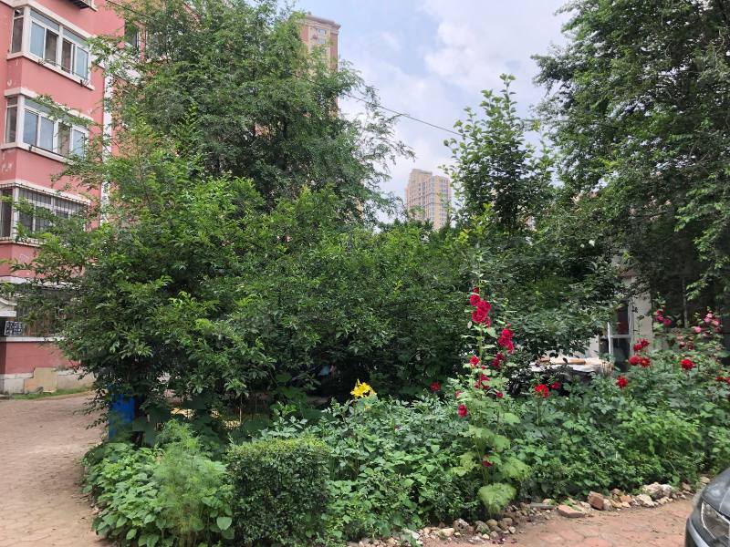 世纪新城西区园区图片