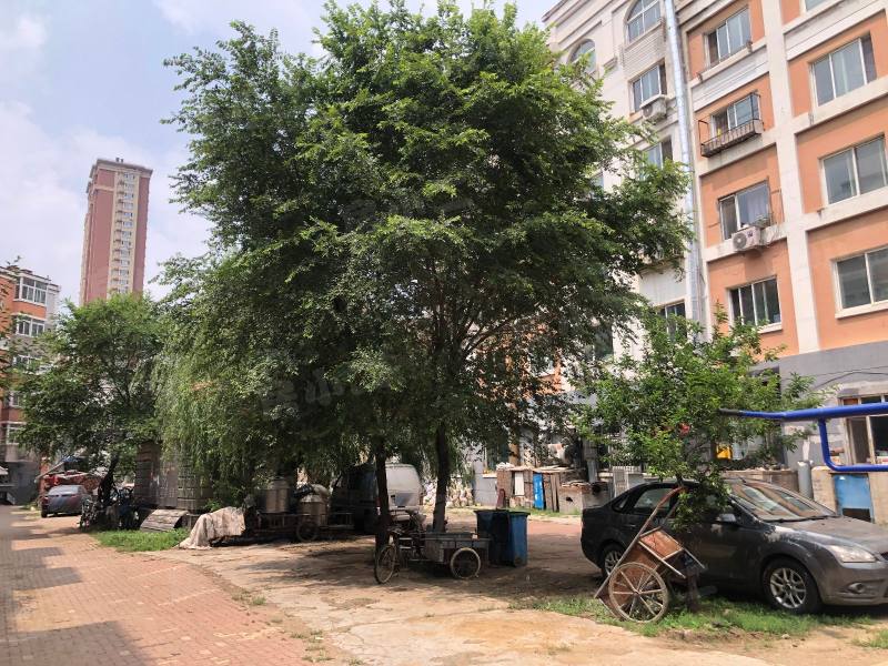 世纪新城西区园区图片