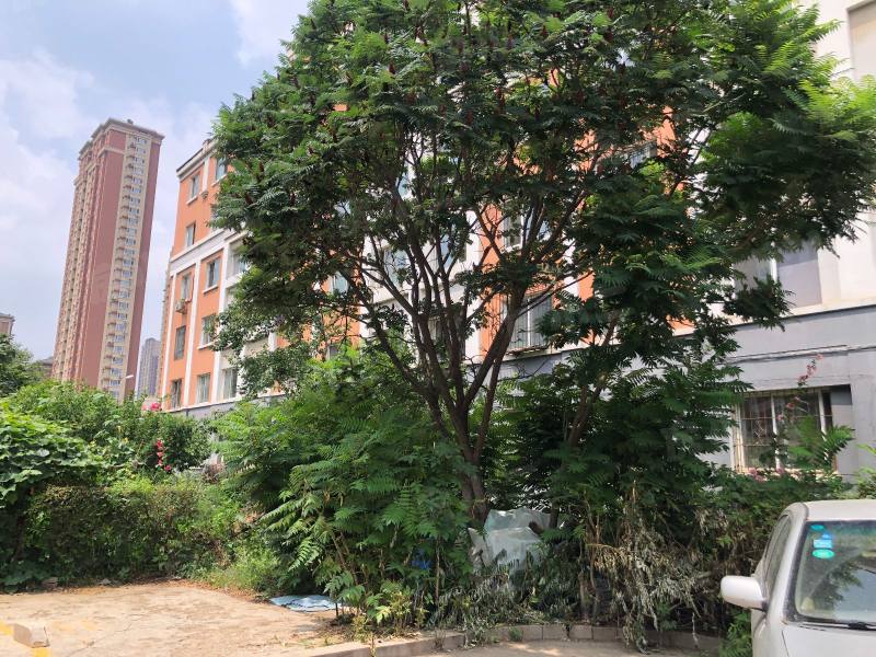 世纪新城西区园区图片