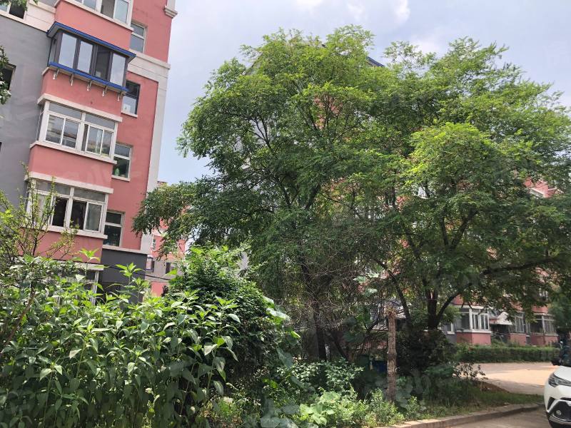 世纪新城西区园区图片