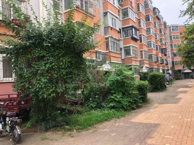 世纪新城西区园区图片