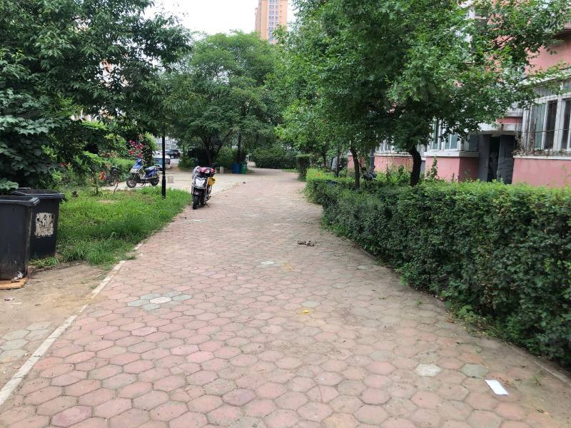 世纪新城西区园区图片