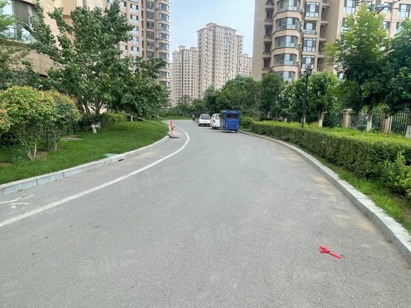中南世纪城园区图片