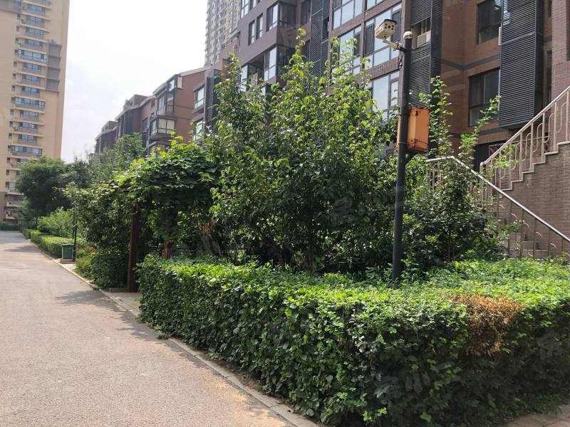 清河湾园区图片