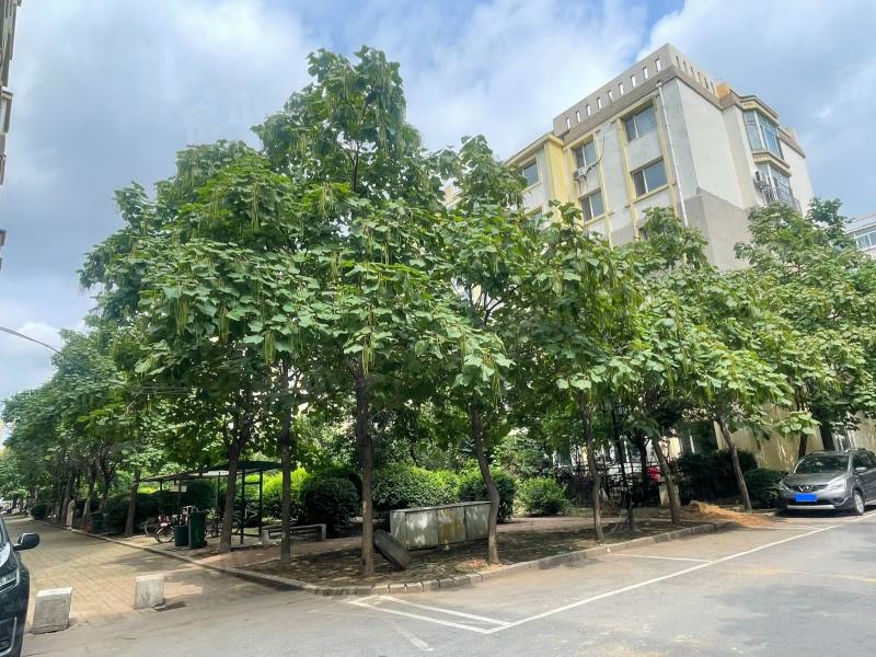 黄海花园园区图片