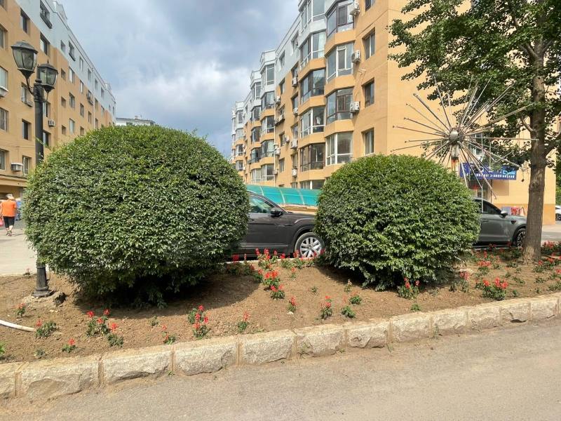 黄海花园园区图片