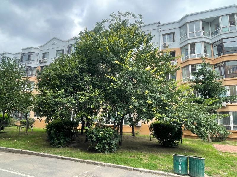 黄海花园园区图片