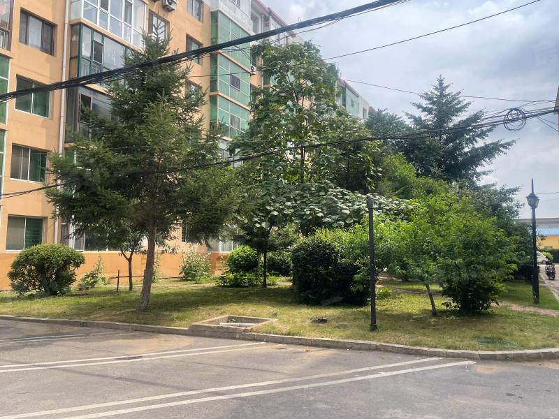 黄海花园园区图片