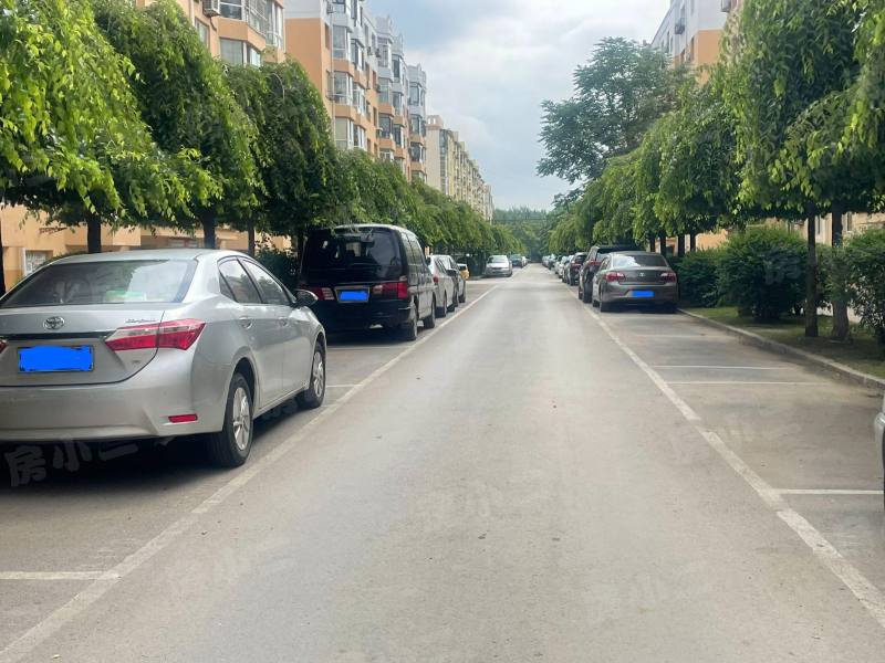 黄海花园园区图片