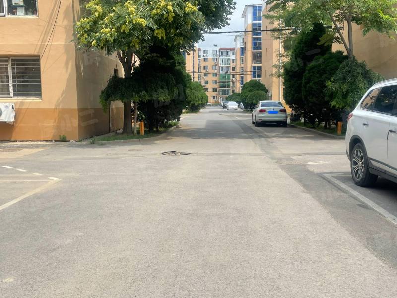 黄海花园园区图片