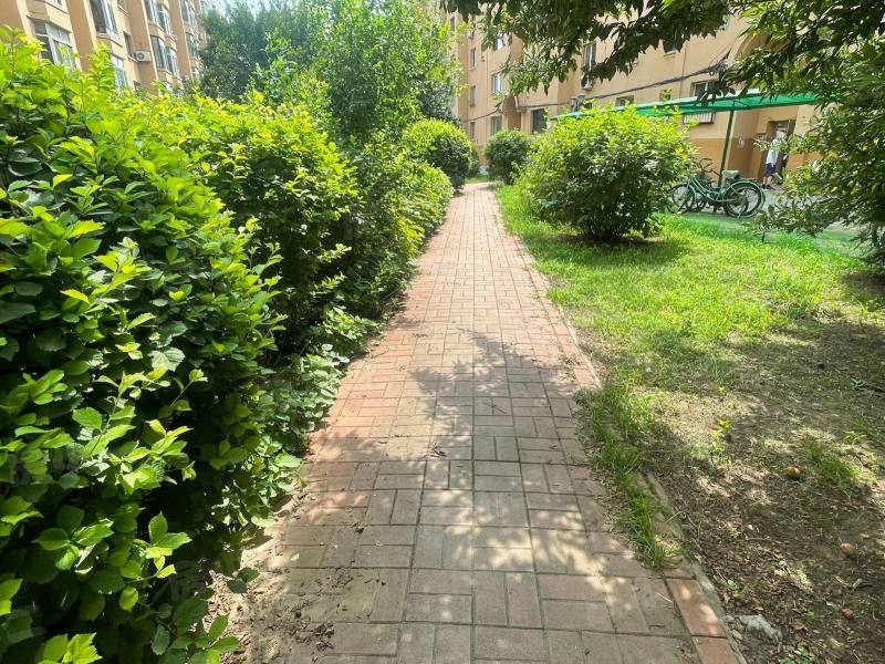 黄海花园园区图片