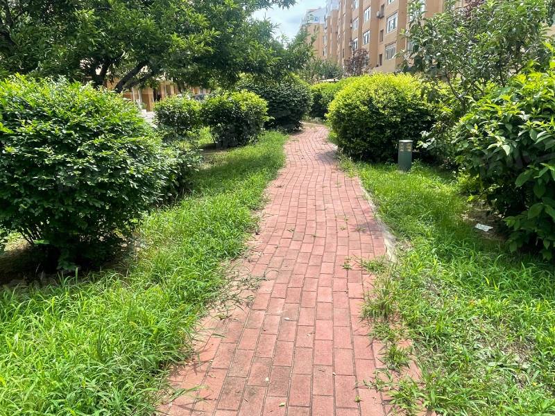 黄海花园园区图片