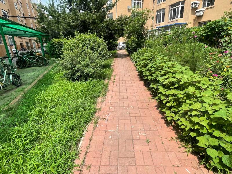 黄海花园园区图片