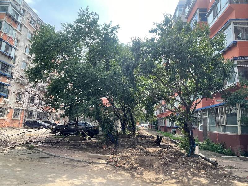 迎宾花园园区图片