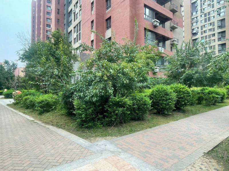 保利心语花园园区图片