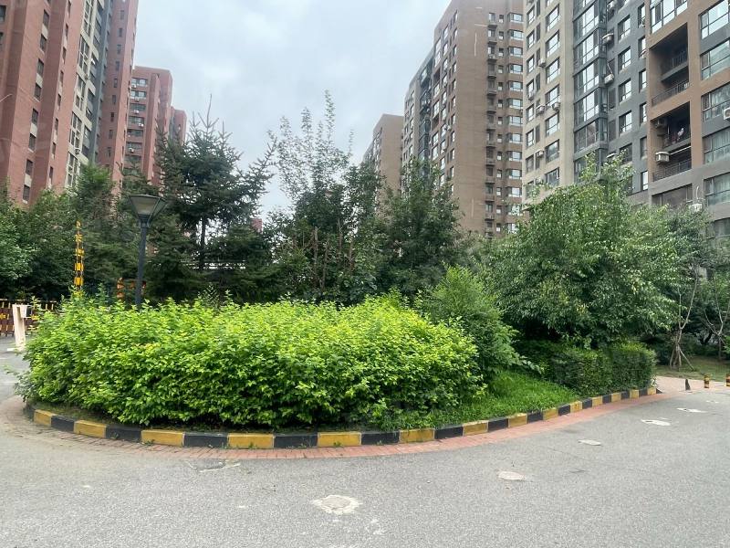 保利心语花园园区图片