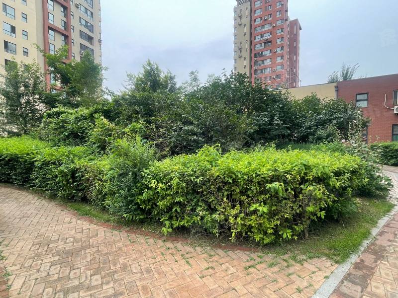 保利心语花园园区图片