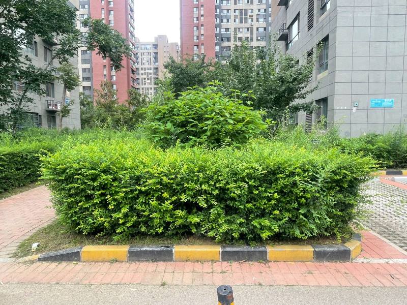 保利心语花园园区图片