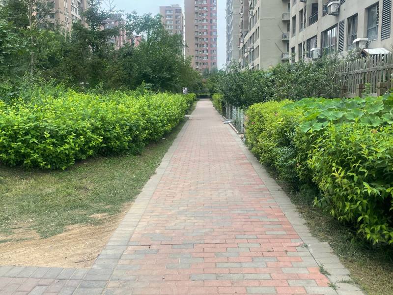 保利心语花园园区图片