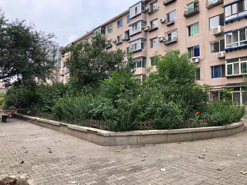 旭升社区园区图片