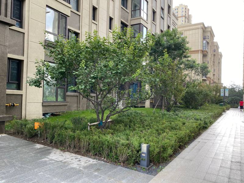 融创唐轩府园区图片