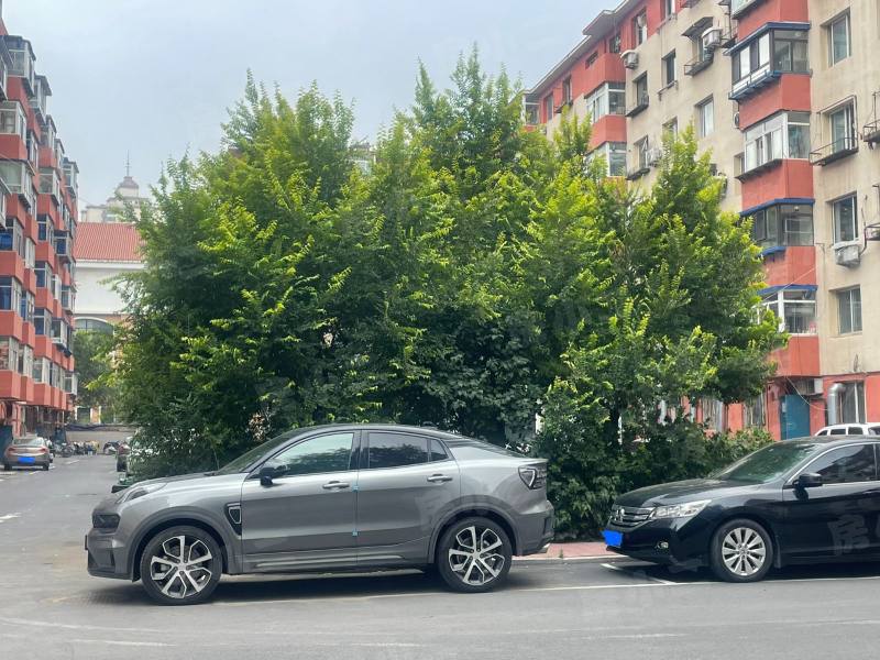 佳园新村园区图片