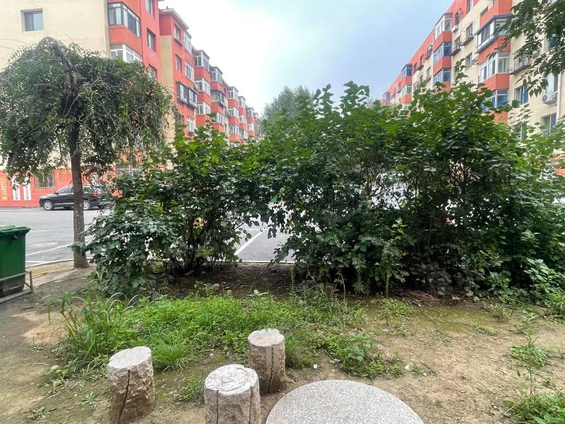 佳园新村园区图片