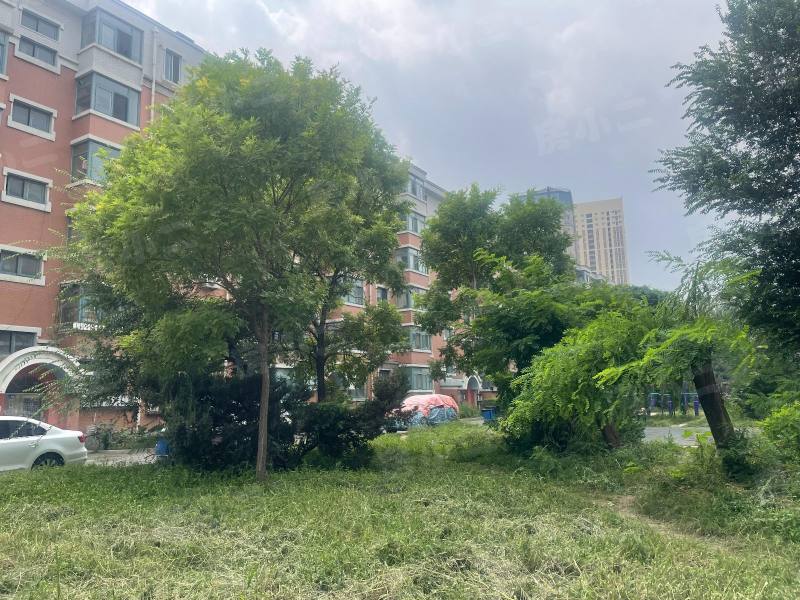 佳园新村园区图片