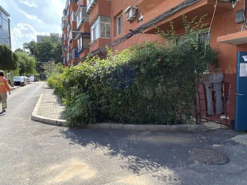 沈大社区园区图片