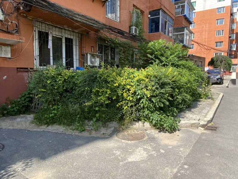 沈大社区园区图片