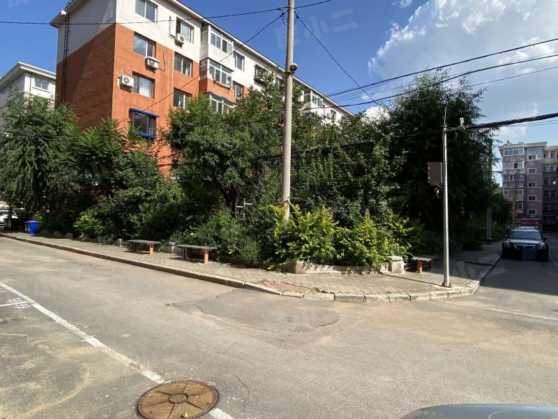 沈大社区园区图片