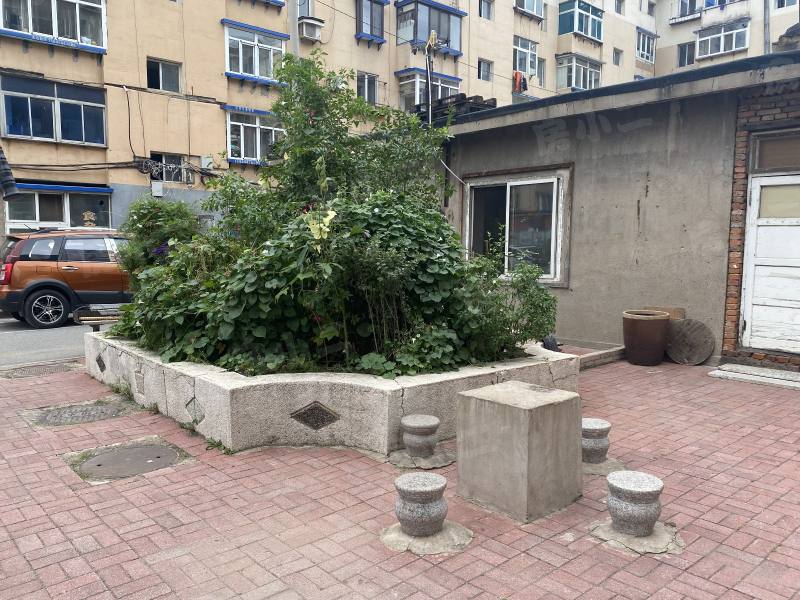 洮昌小区园区图片