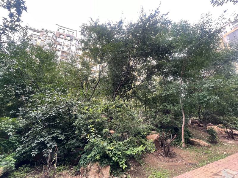 中远颐和丽园园区图片