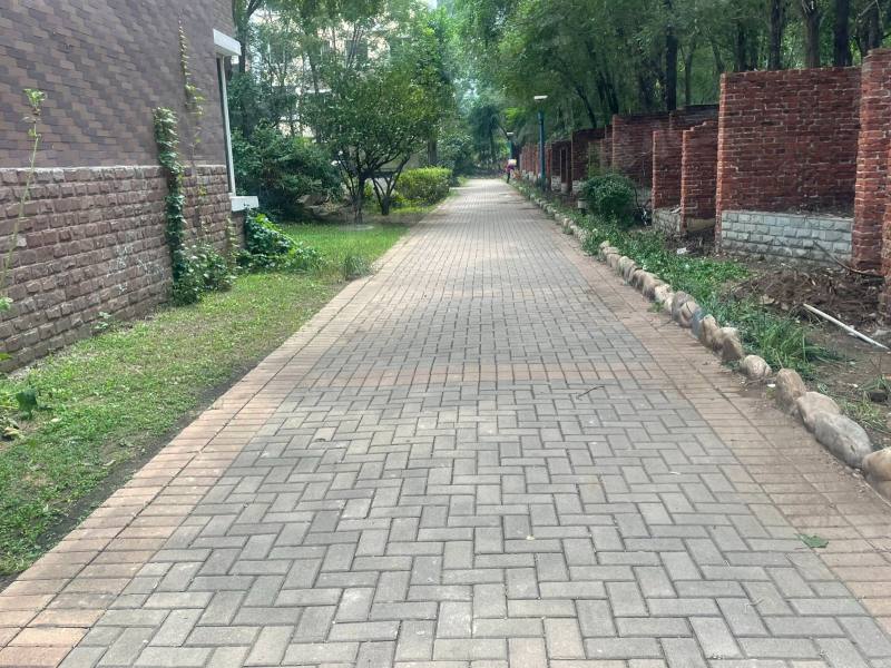 中远颐和丽园园区图片