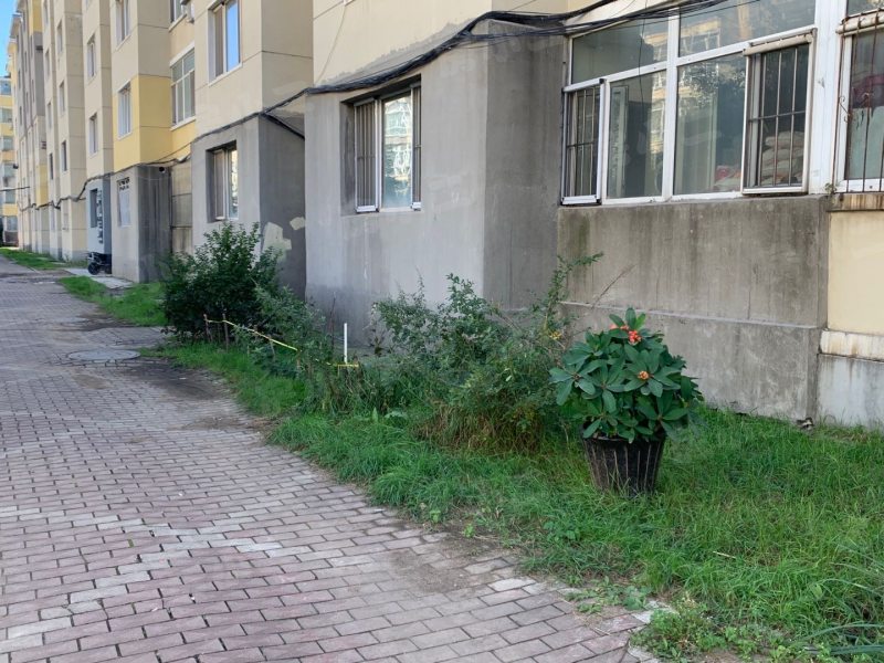 祥瑞家园园区图片