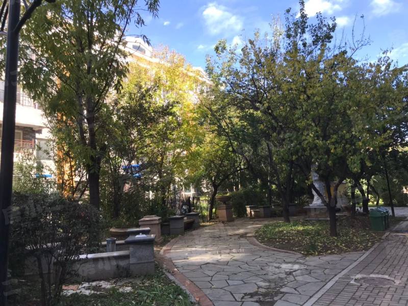 亚瑟蓝湾园区图片