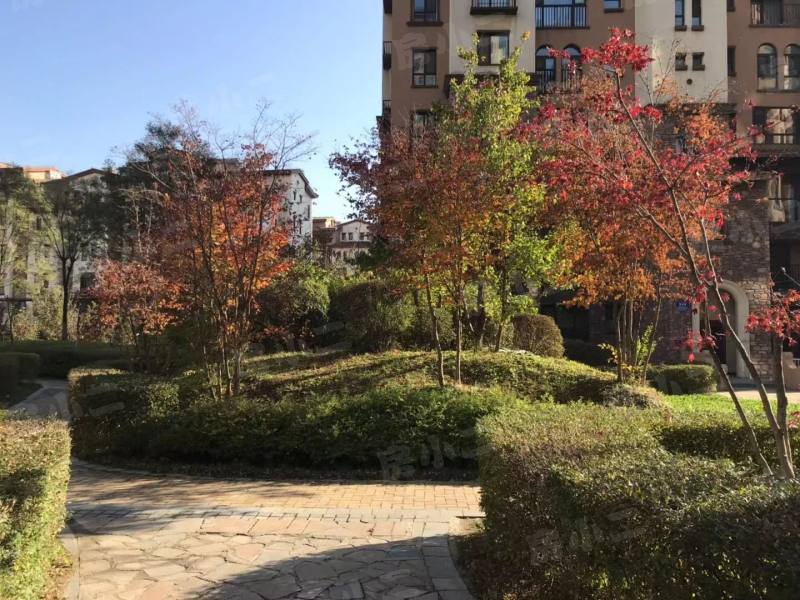 绿地大溪地园区图片