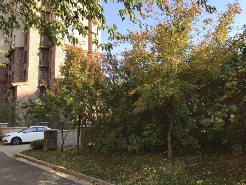 绿地大溪地园区图片