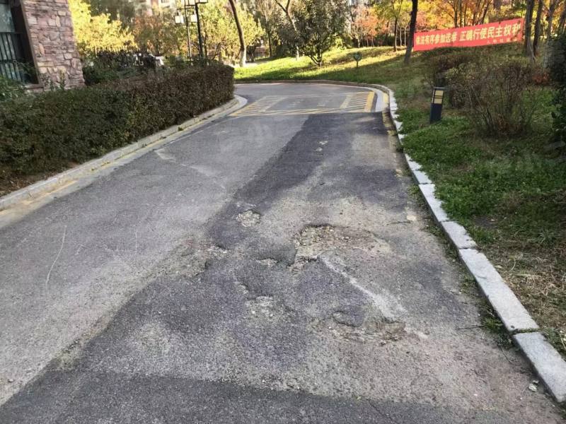 绿地大溪地园区图片