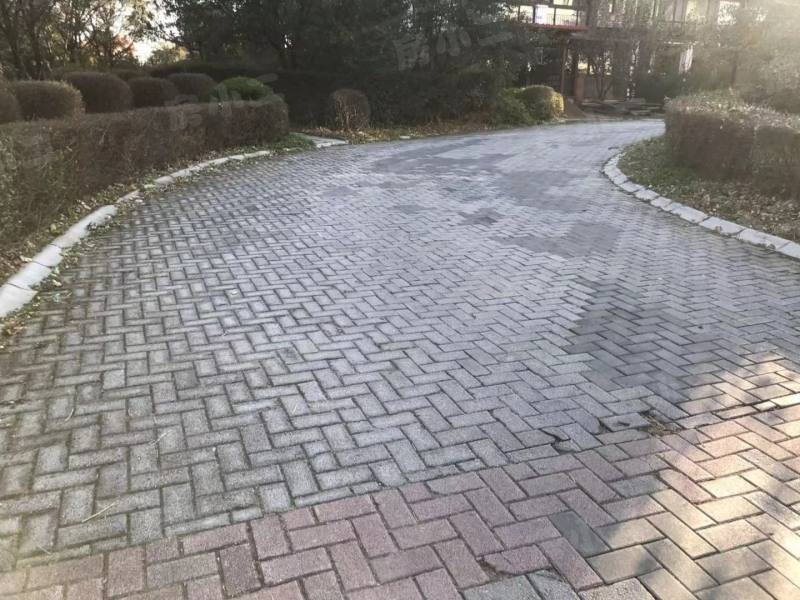 绿地大溪地园区图片