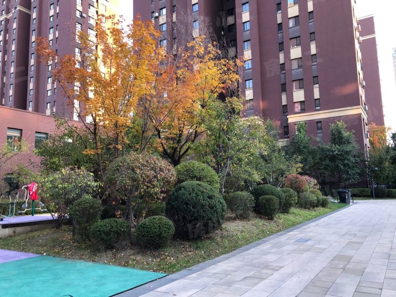 郡原小石城园区图片