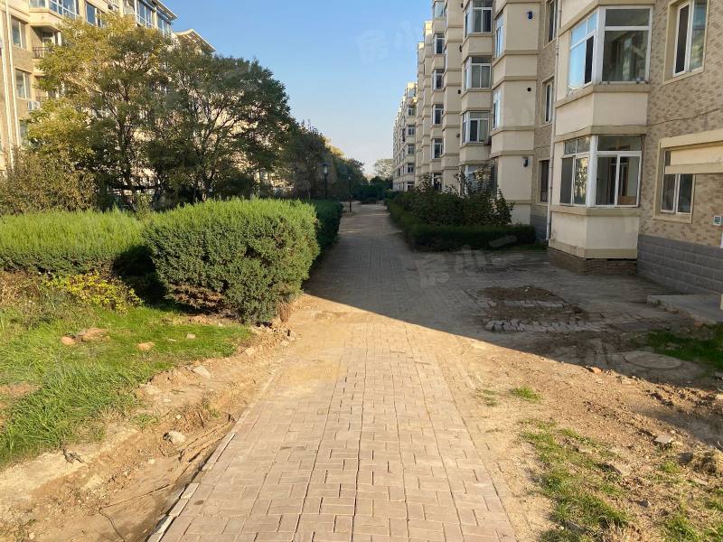 绿色家园园区图片