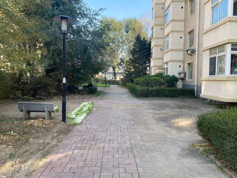 绿色家园园区图片