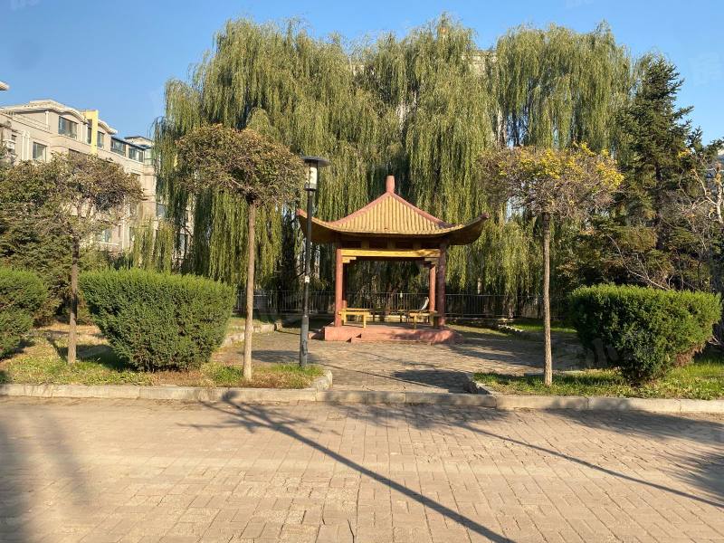 绿色家园园区图片