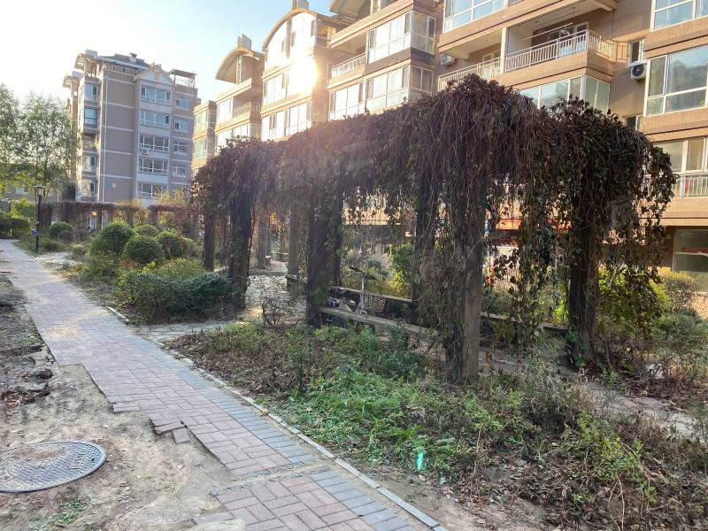 绿色家园园区图片