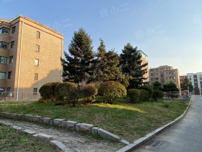 绿色家园园区图片