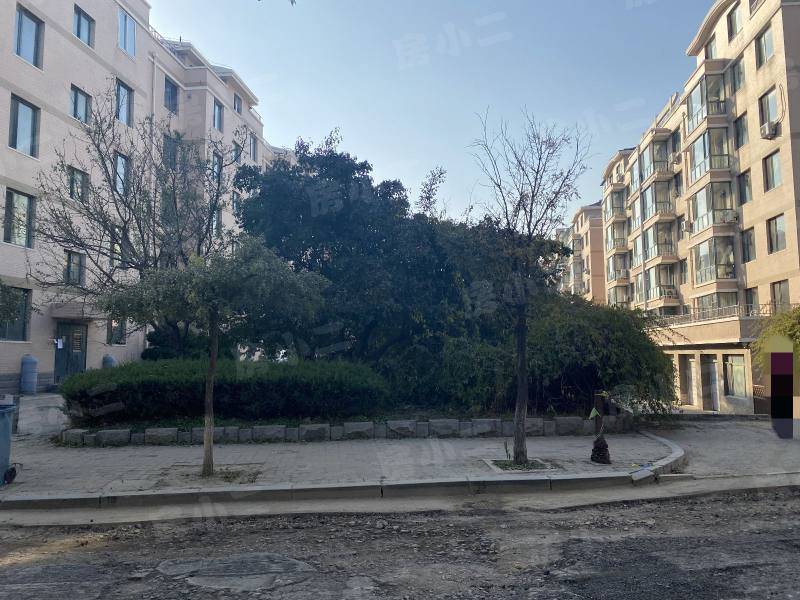 绿色家园园区图片