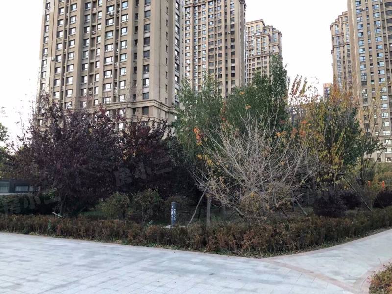 泰莱枫尚园区图片