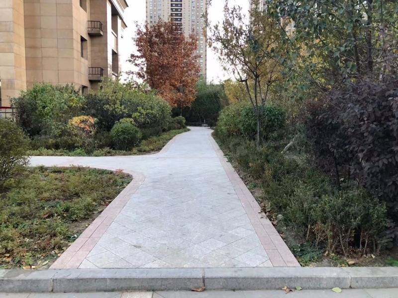 泰莱枫尚园区图片